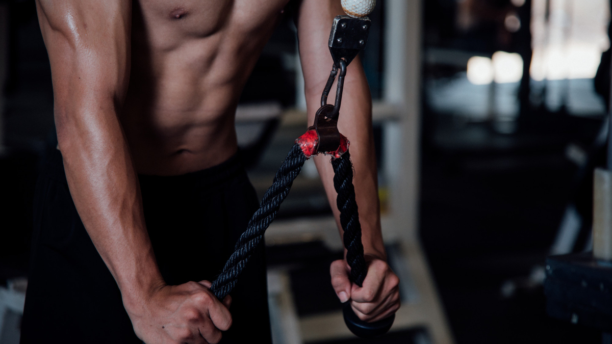 Extension triceps a la poulie haute
