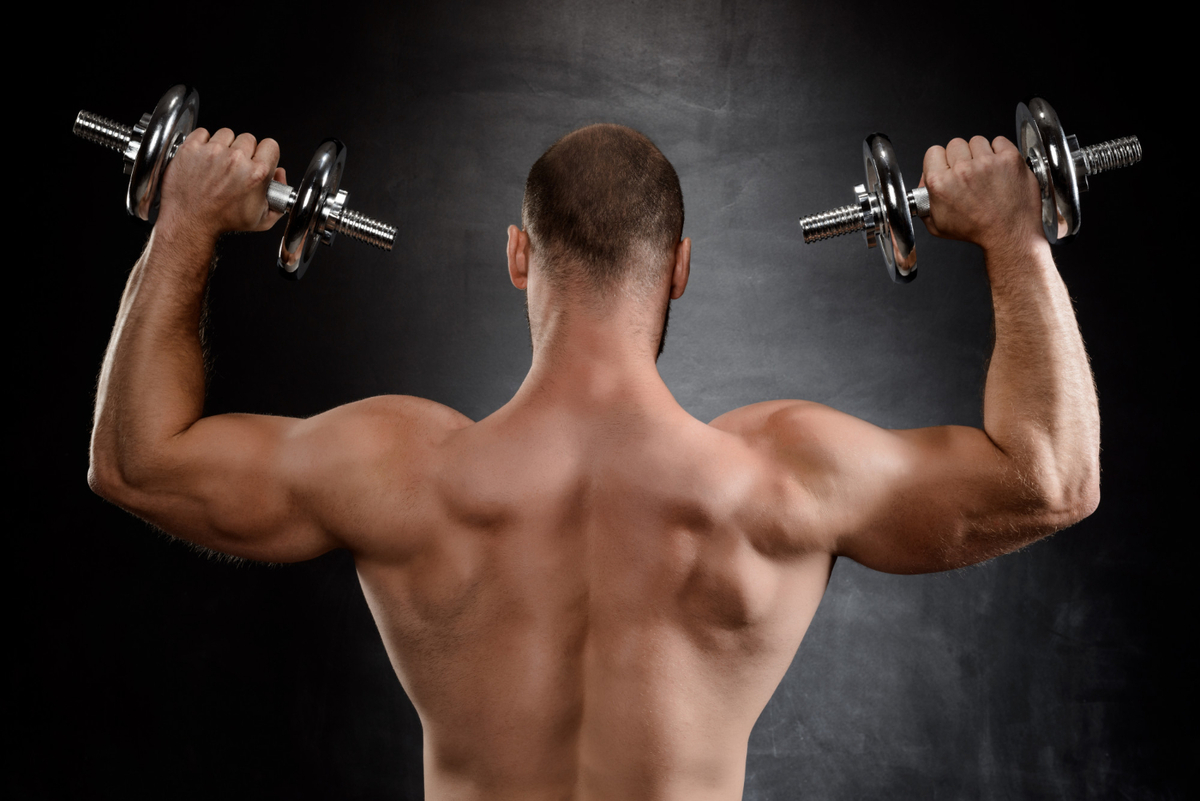 équipement choisir pour muscler les épaules