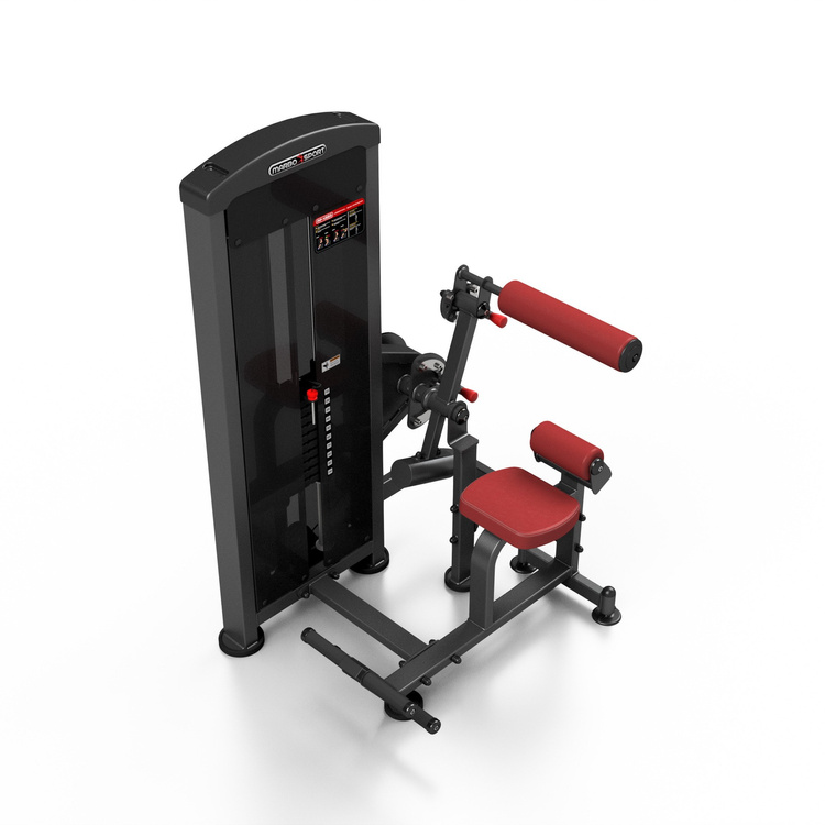 Machine Abdominaux et Extension Dos 2 en 1 MP-U220 - Marbo Sport