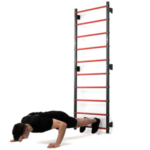 Ensemble MHU1 | Espalier de gymnastique métallique 230 x 81 cm MH-U204 + Barre murale et barre de traction 2 en 1 fixation murale et espalier MH-U205 - Marbo Sport
