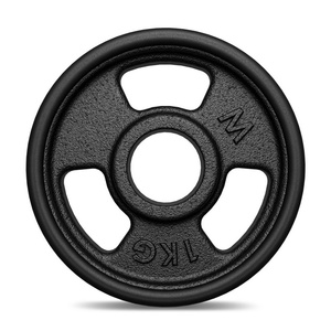 Charge en caoutchouc de fer 1 kg MW-O1G-kier - Marbo Sport