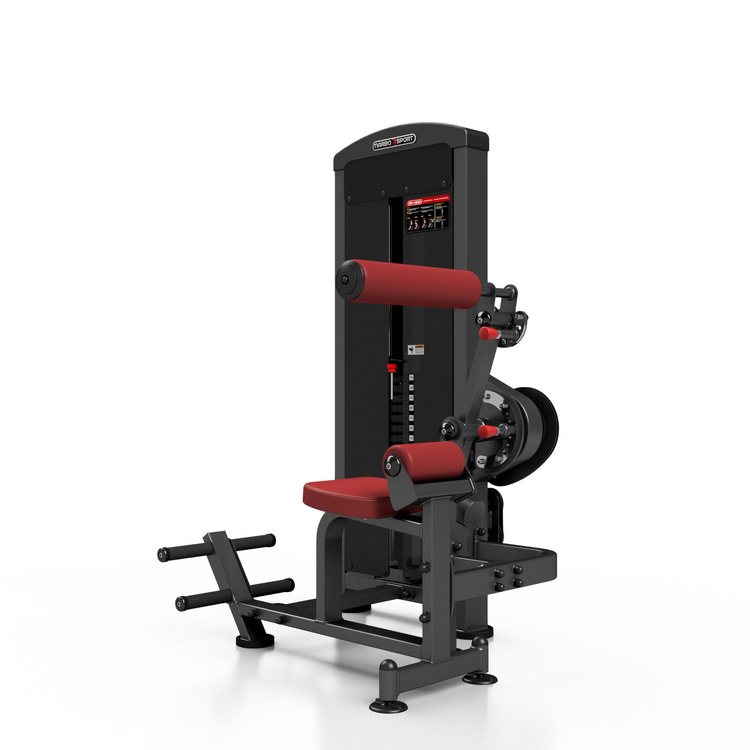 Machine Abdominaux et Extension Dos 2 en 1 MP-U220 - Marbo Sport