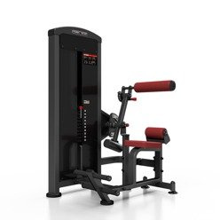 Machine Abdominaux et Extension Dos 2 en 1 MP-U220 - Marbo Sport