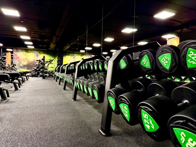 Jeu d'haltères en polyuréthane 1-10kg (par incréments de 1 kg) 110 kg + support pour haltères UR-S005 - UpForm